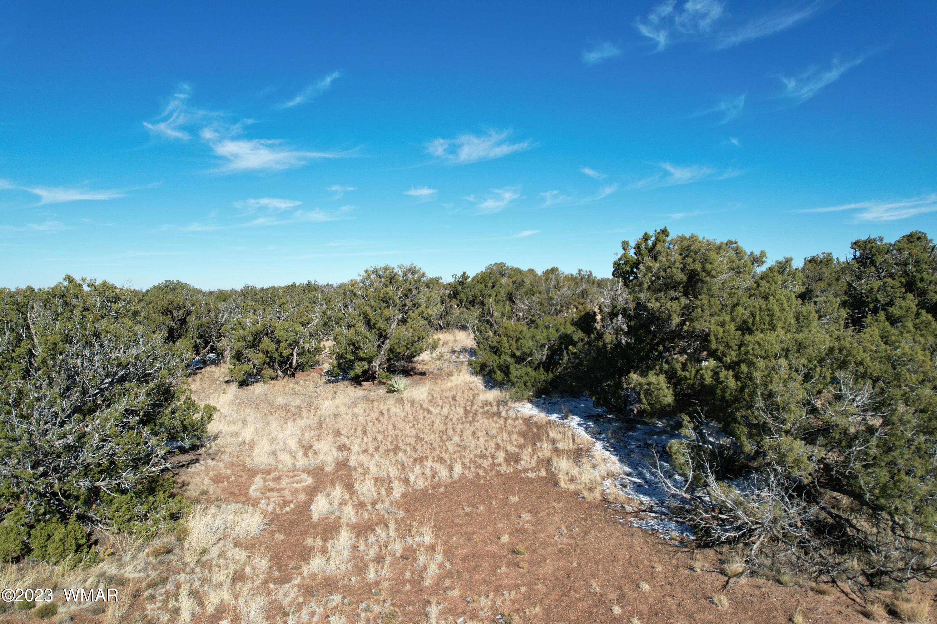 Pinon Pinon Valley Ranch Concho, AZ 85924 - Photo 22 of 42