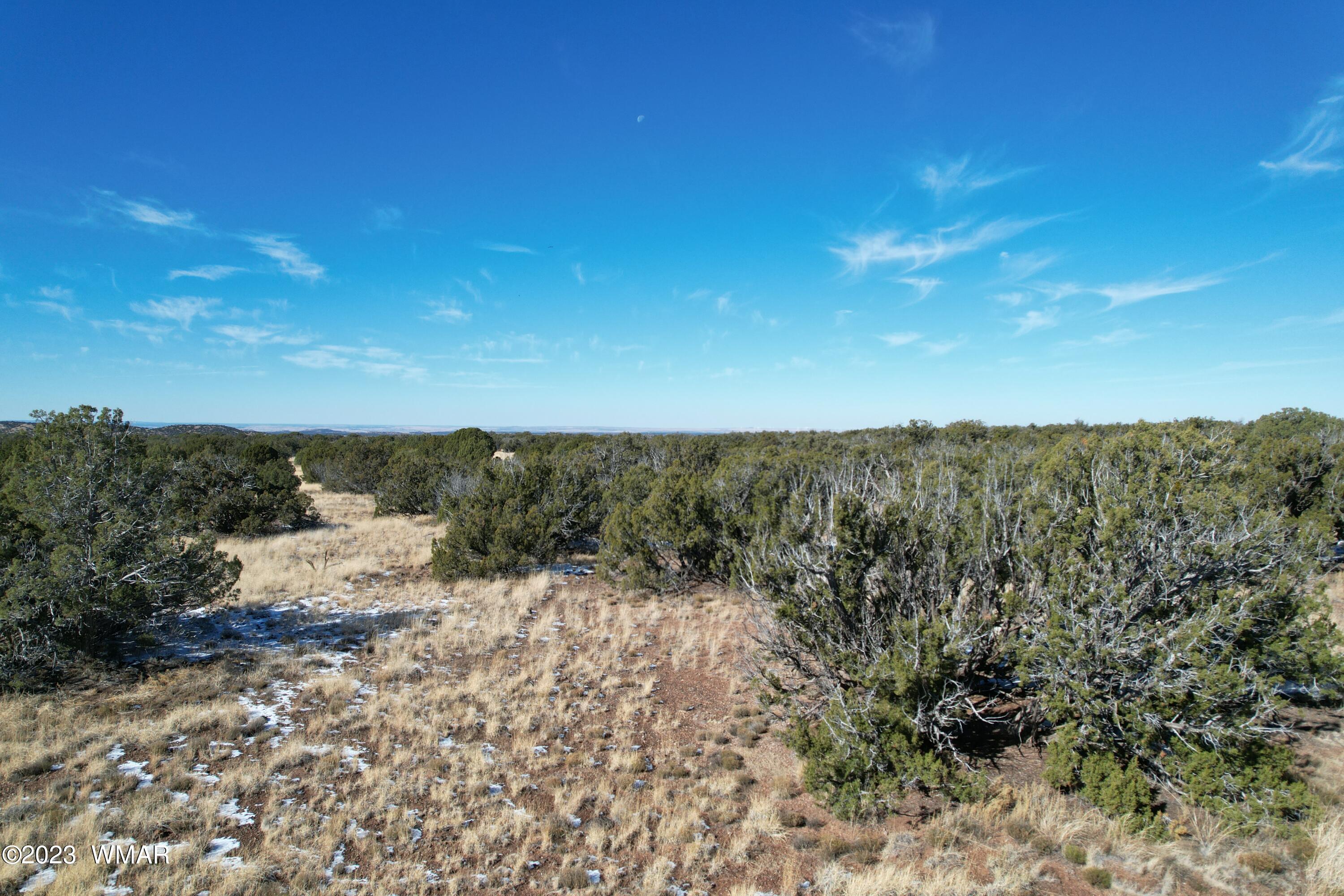 Pinon Pinon Valley Ranch Concho, AZ 85924 - Photo 23 of 42