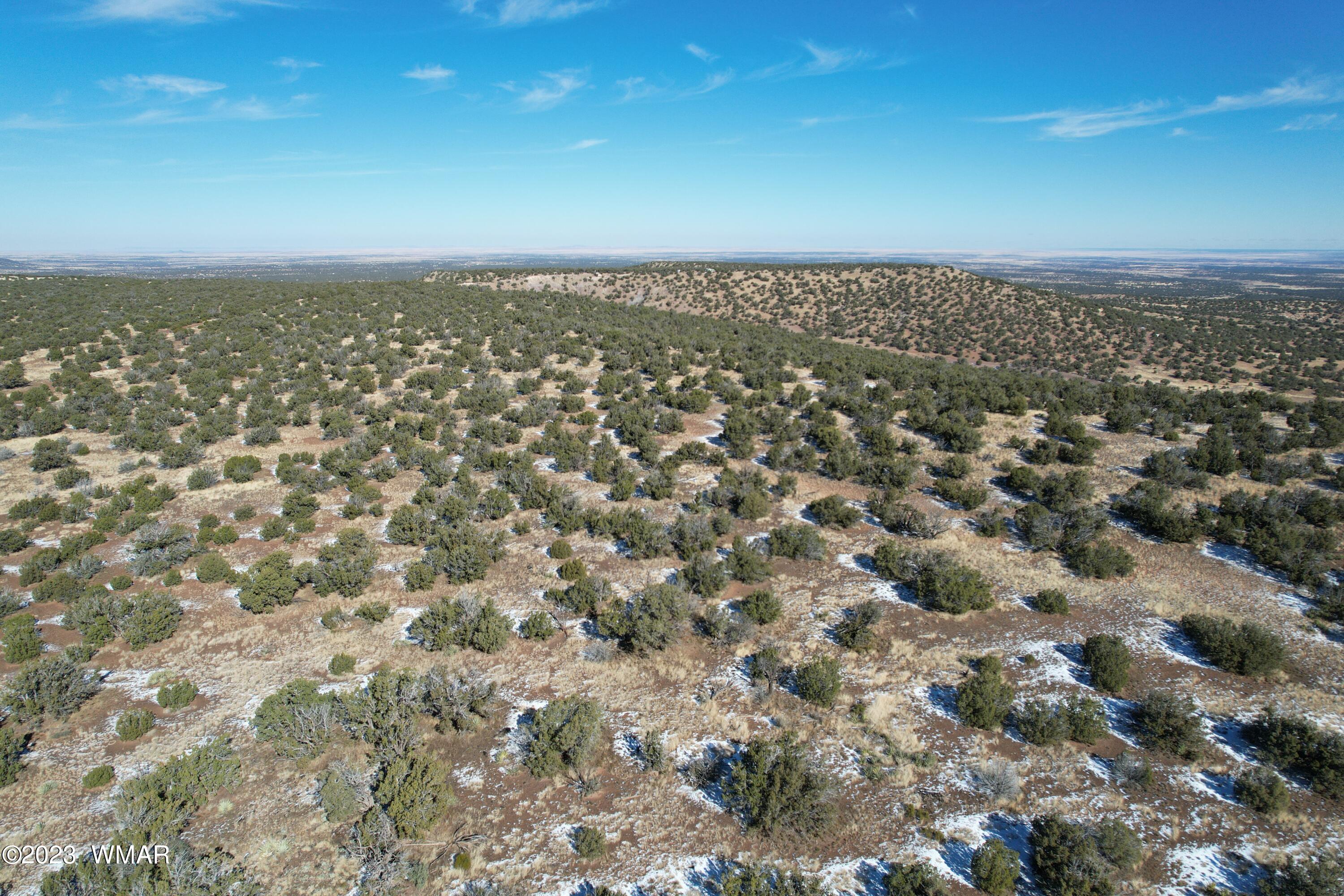 Pinon Pinon Valley Ranch Concho, AZ 85924 - Photo 24 of 42
