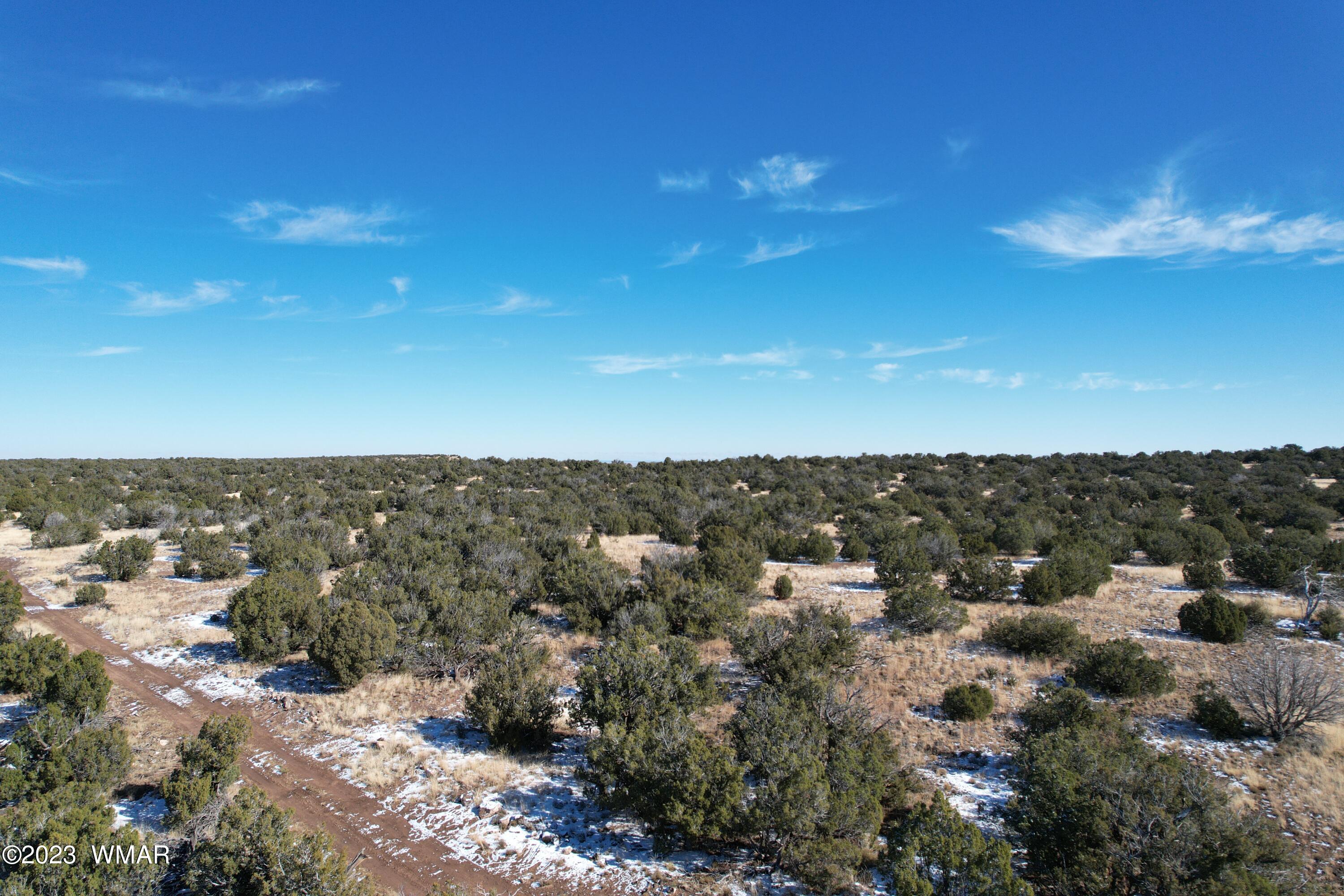 Pinon Pinon Valley Ranch Concho, AZ 85924 - Photo 28 of 42