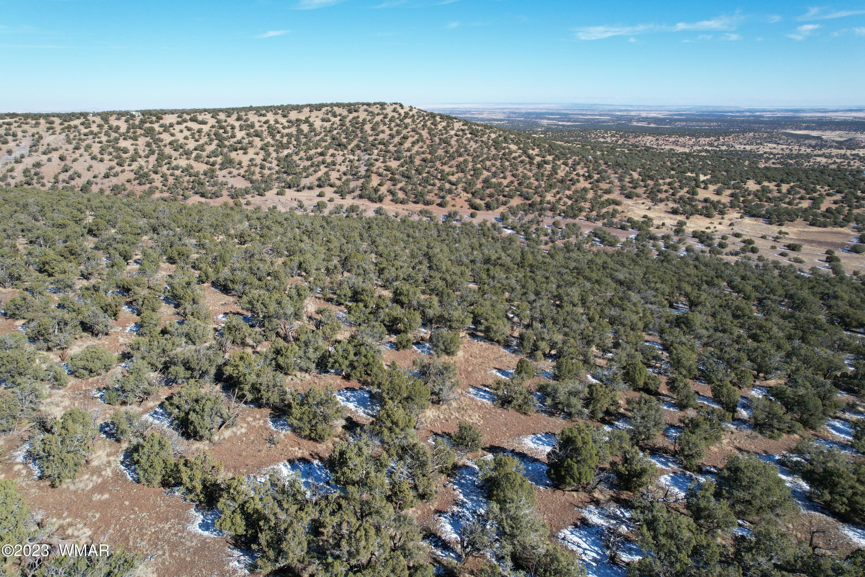 Pinon Pinon Valley Ranch Concho, AZ 85924 - Photo 31 of 42
