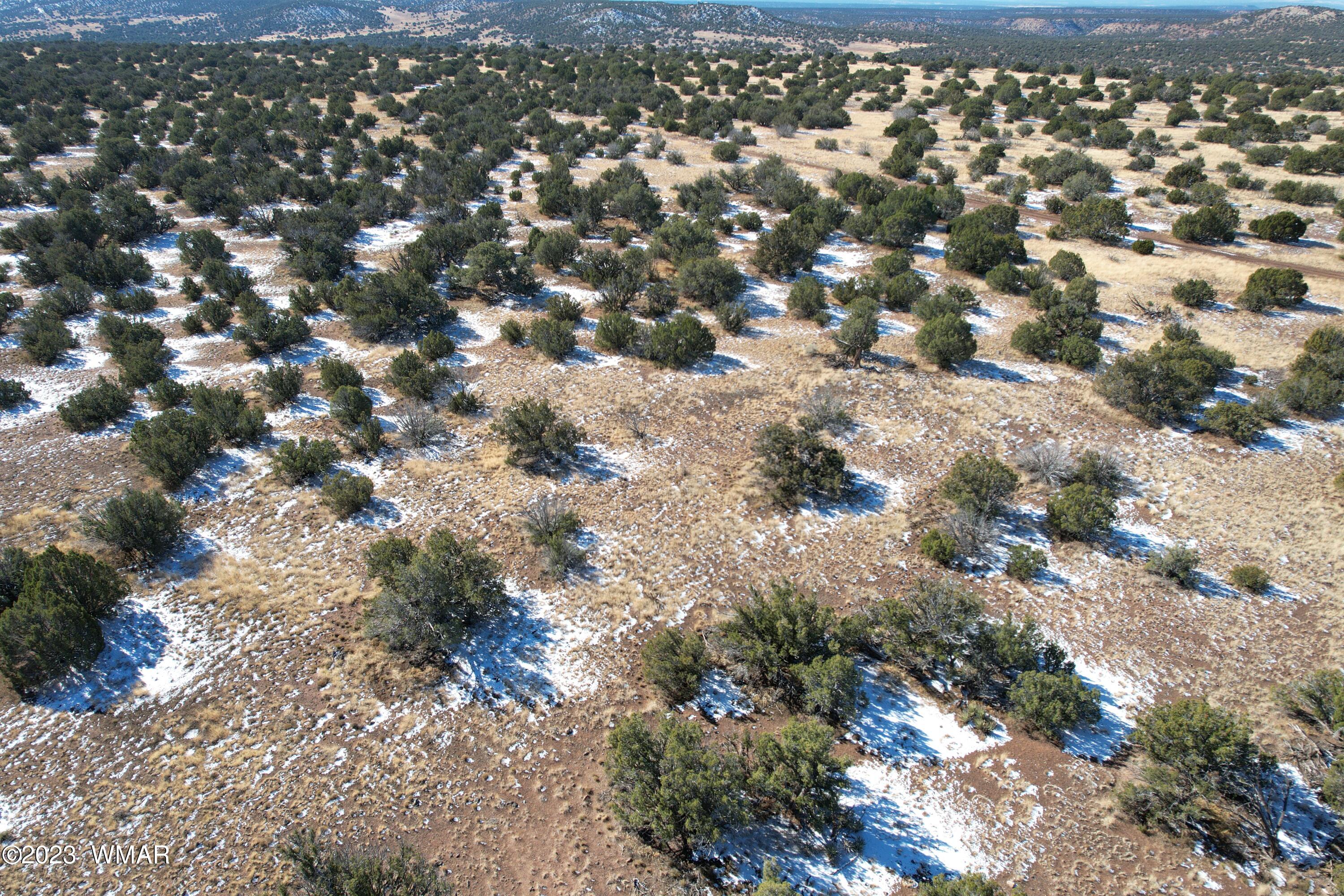 Pinon Pinon Valley Ranch Concho, AZ 85924 - Photo 33 of 42