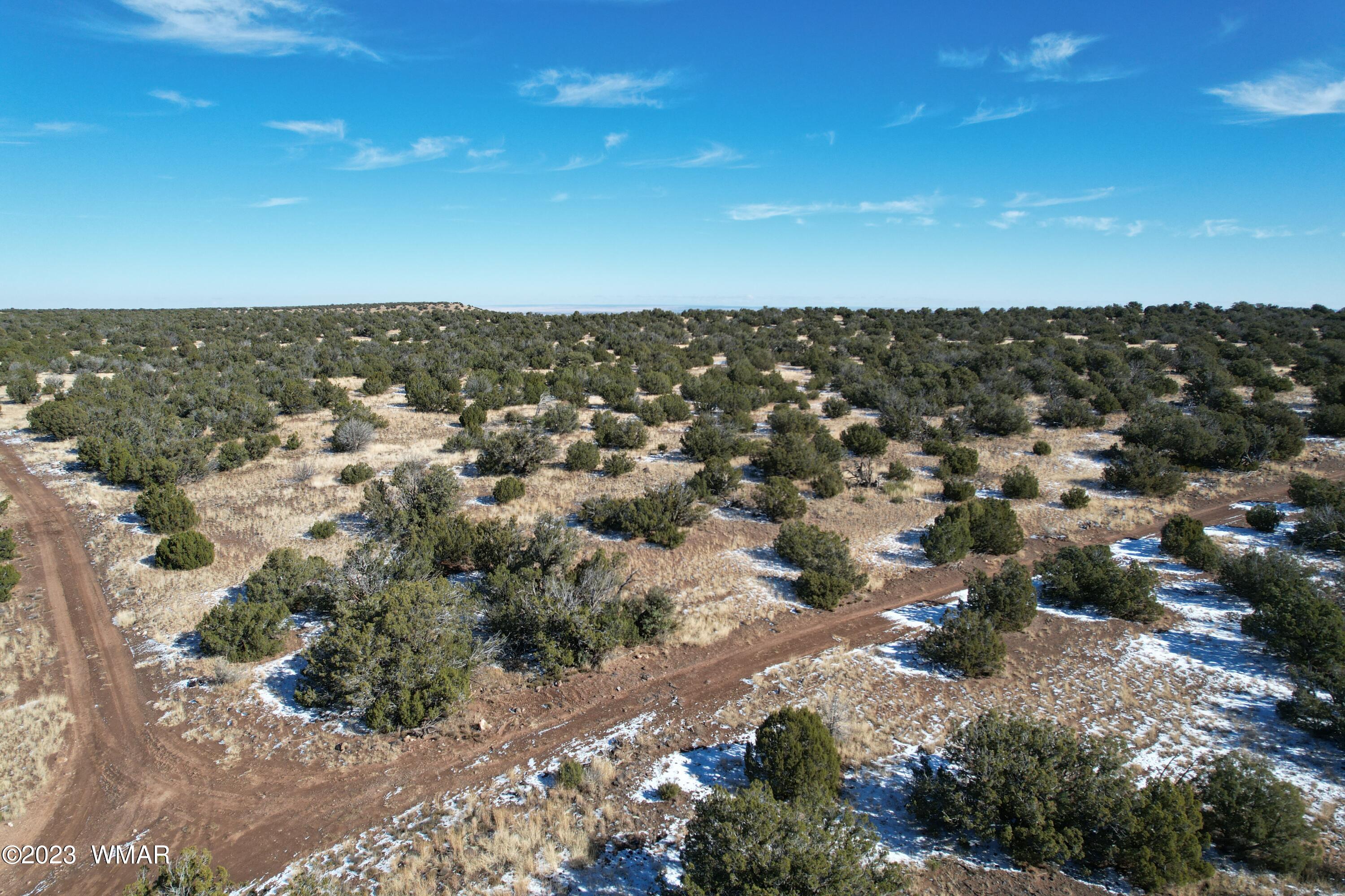 Pinon Pinon Valley Ranch Concho, AZ 85924 - Photo 34 of 42