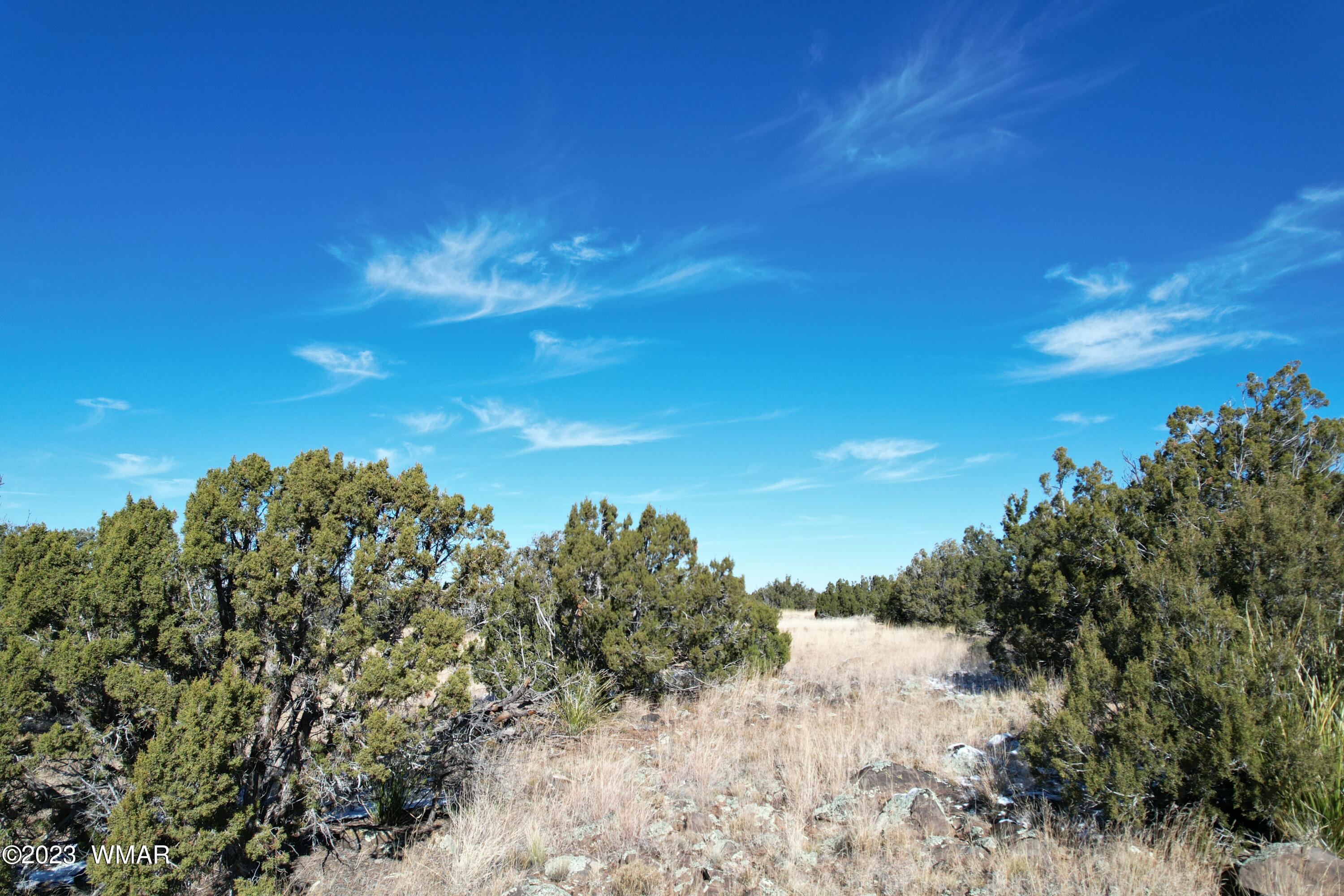 Pinon Pinon Valley Ranch Concho, AZ 85924 - Photo 35 of 42