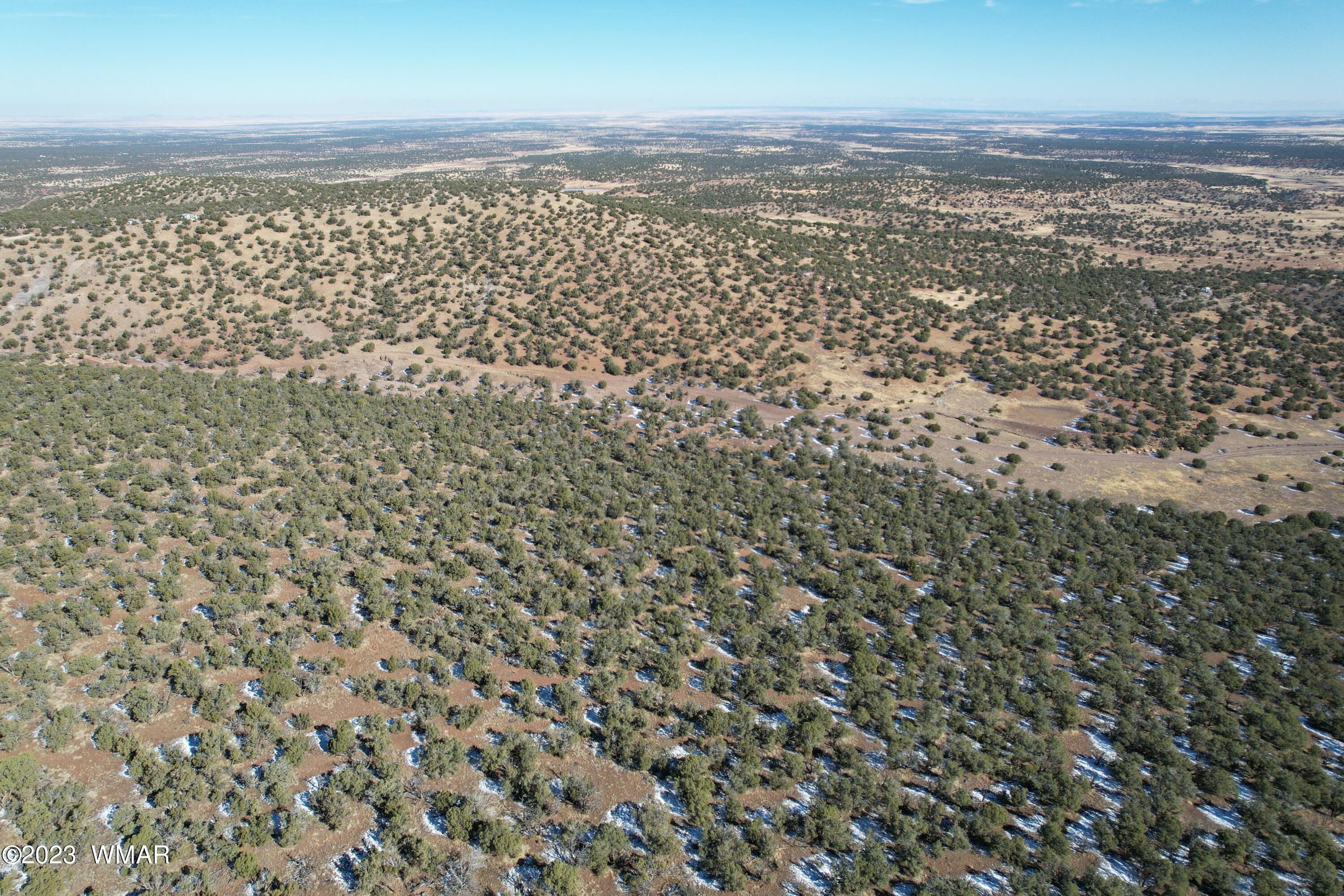 Pinon Pinon Valley Ranch Concho, AZ 85924 - Photo 4 of 42