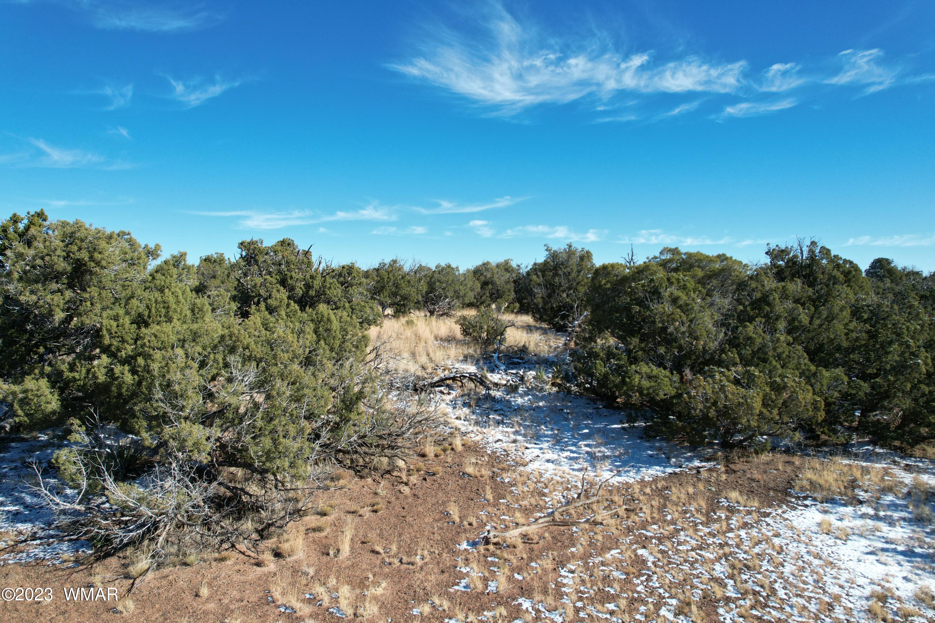 Pinon Pinon Valley Ranch Concho, AZ 85924 - Photo 7 of 42