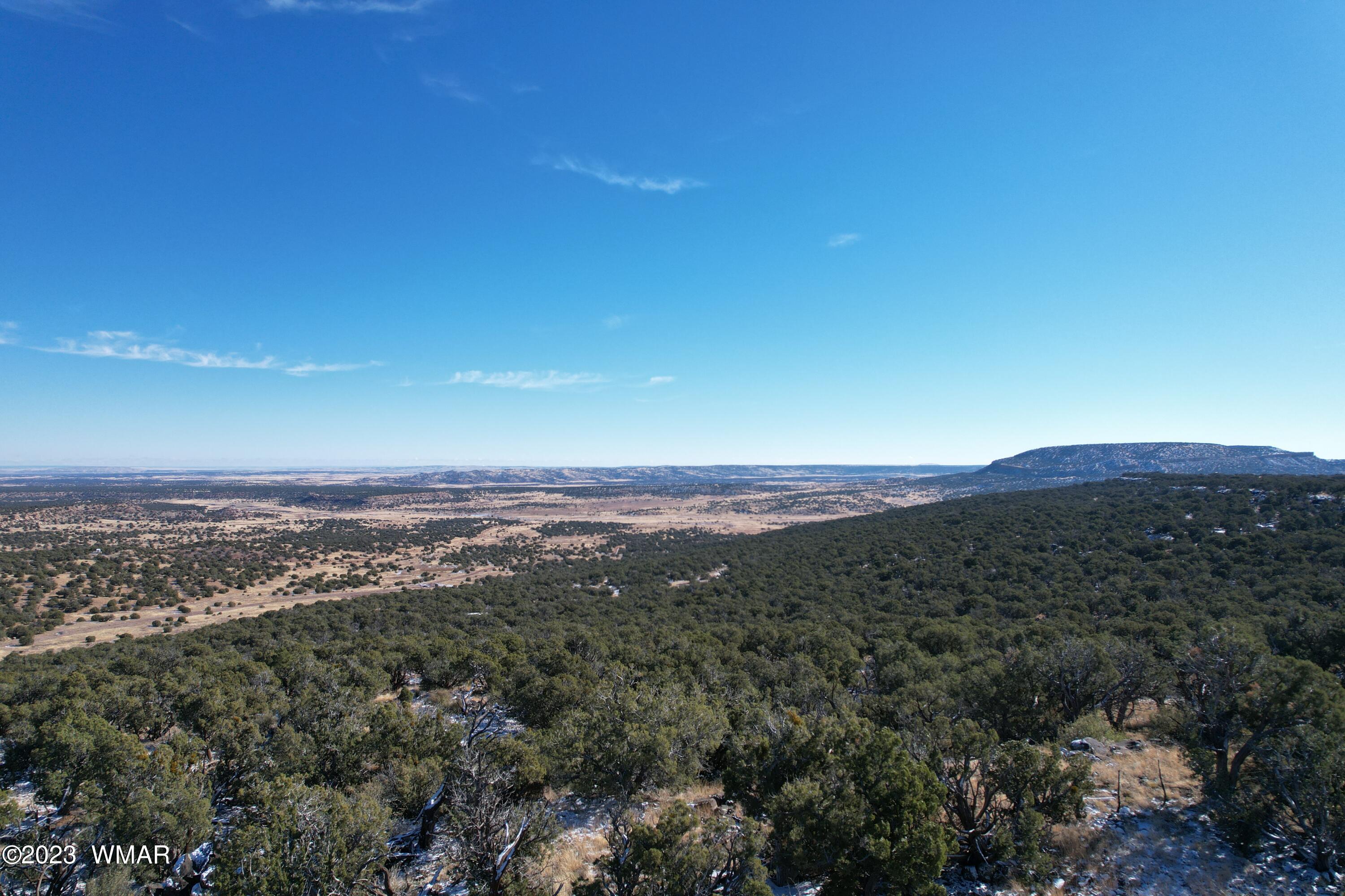 Pinon Pinon Valley Ranch Concho, AZ 85924 - Photo 8 of 42
