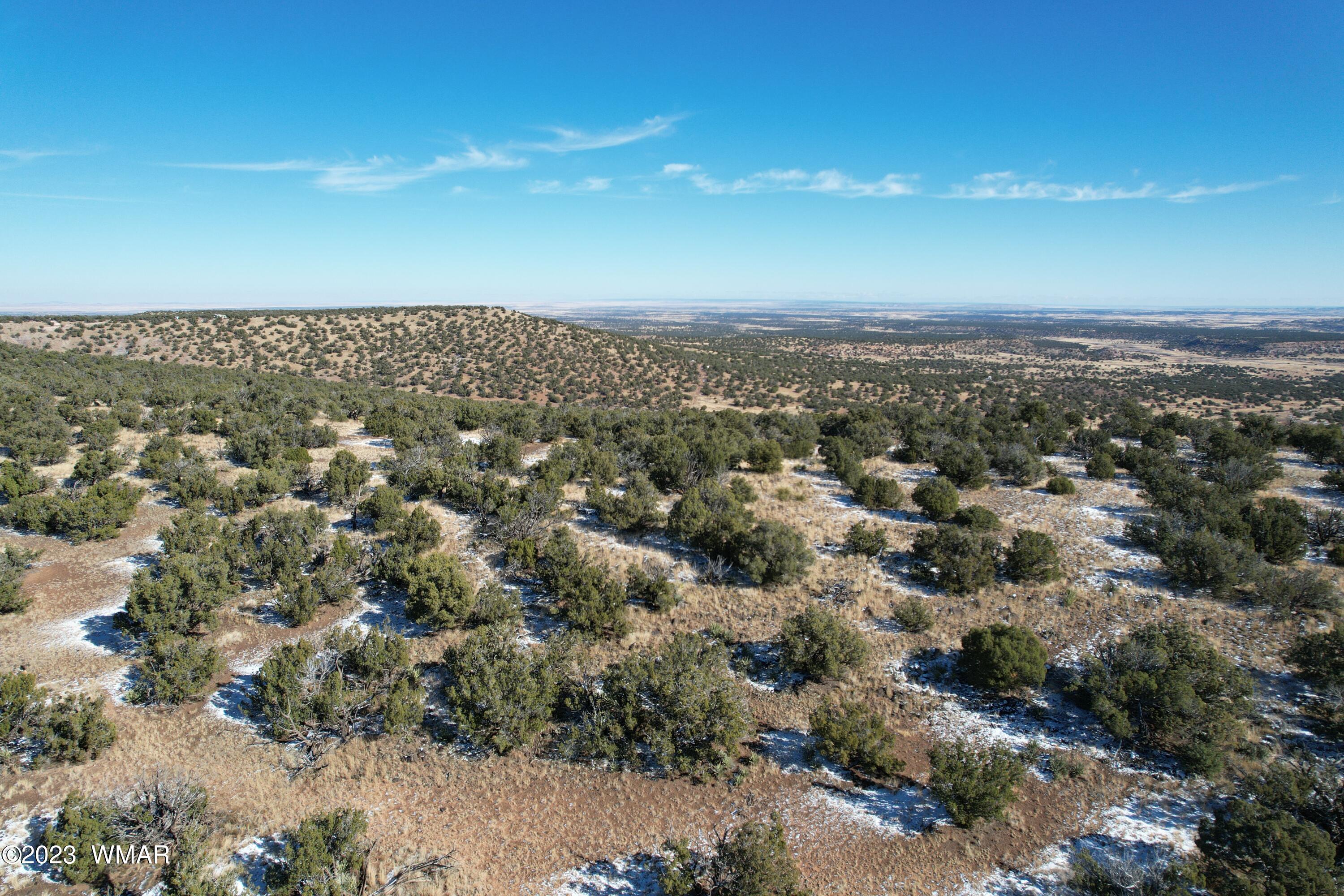 Pinon Pinon Valley Ranch Concho, AZ 85924 - Photo 10 of 42
