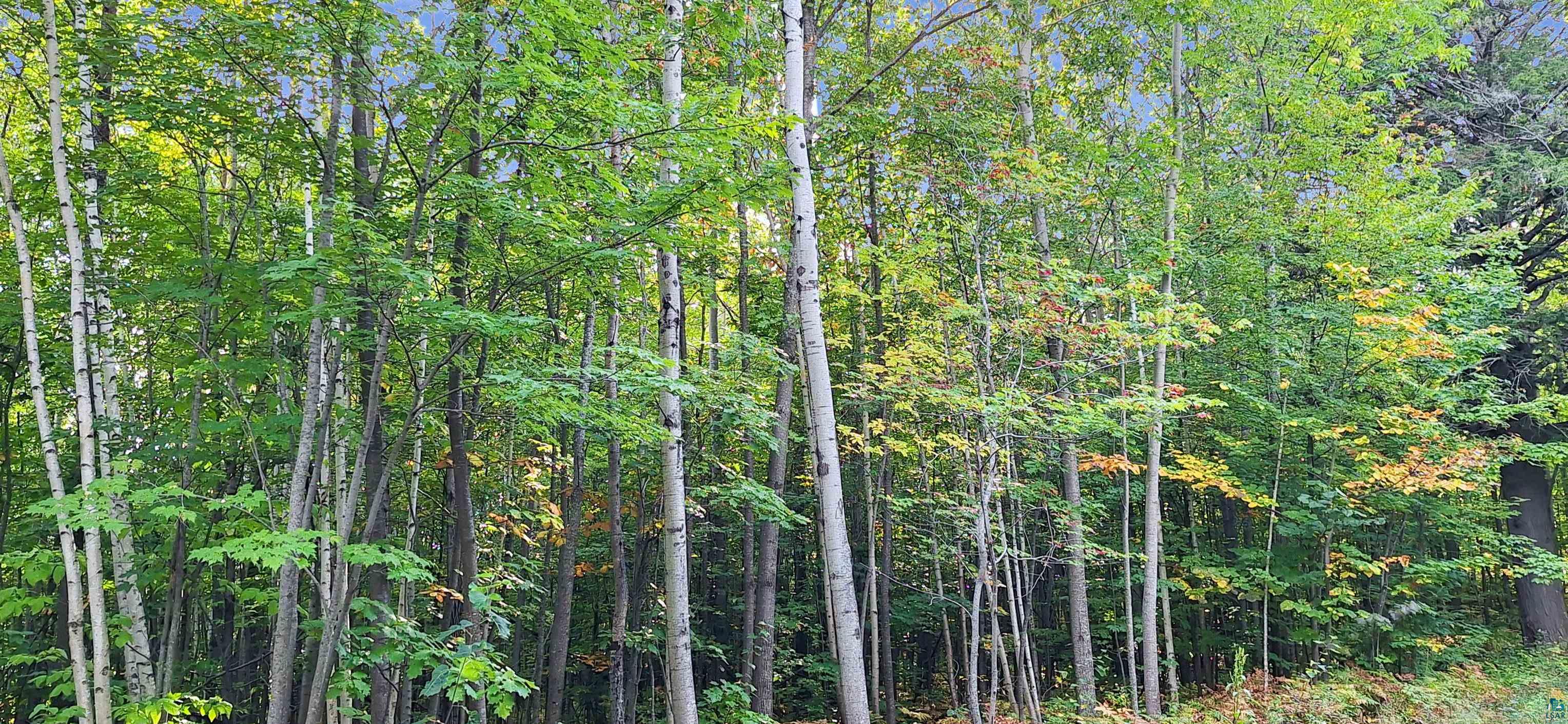 Xxx Apple Hill Road Bayfield, WI 54814 - Photo 14 of 18 Gallery Image 14