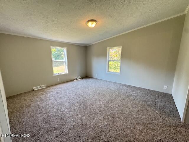 10326 Patsy Cline Way Strawberry Plains, TN 37871 - Photo 26 of 49 IMG_2695