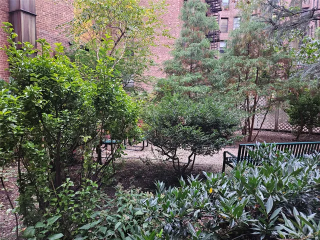 a view of a street with a tree