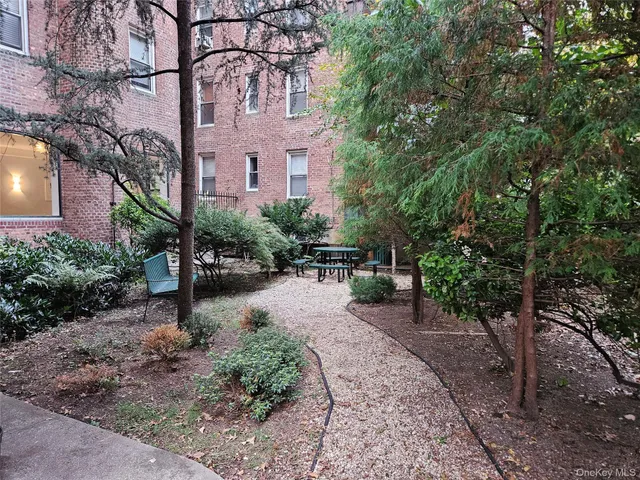 a backyard of a house with plants and large trees