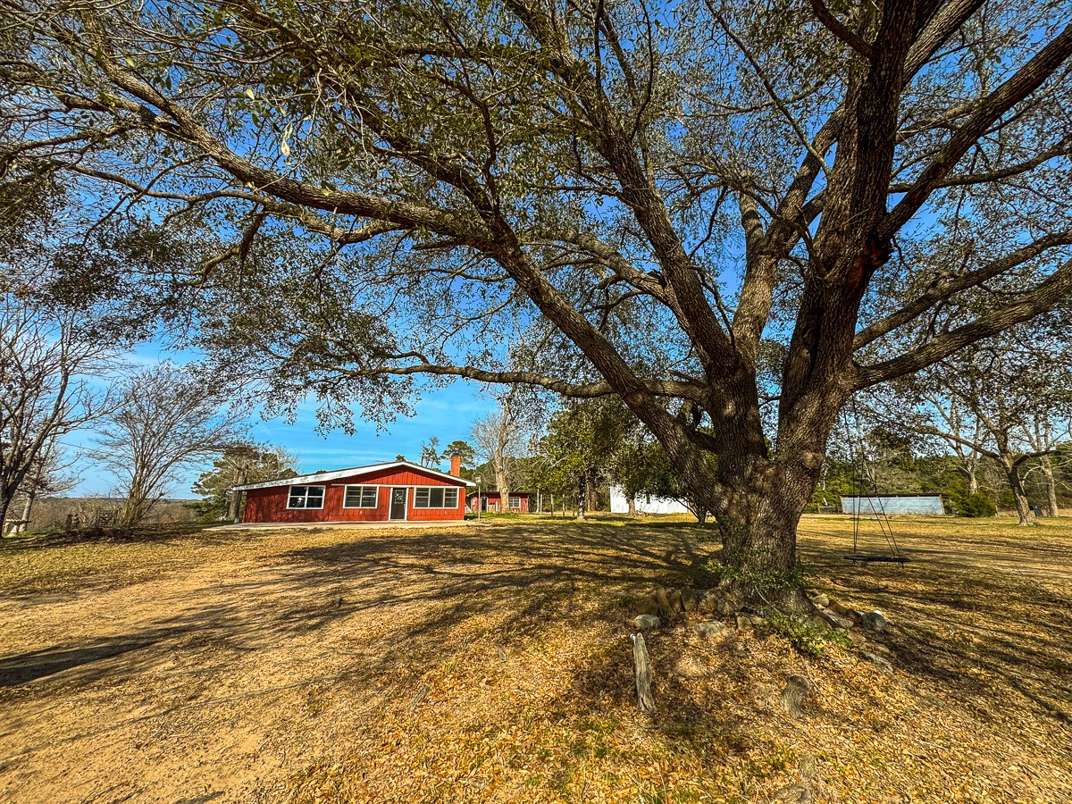 1 Fm 328 Huntington, TX 75949 - Photo 13 of 40 a street view with large trees