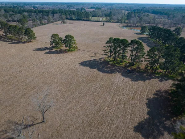 $621,600 | 1 Fm 328, Huntington, TX 75949