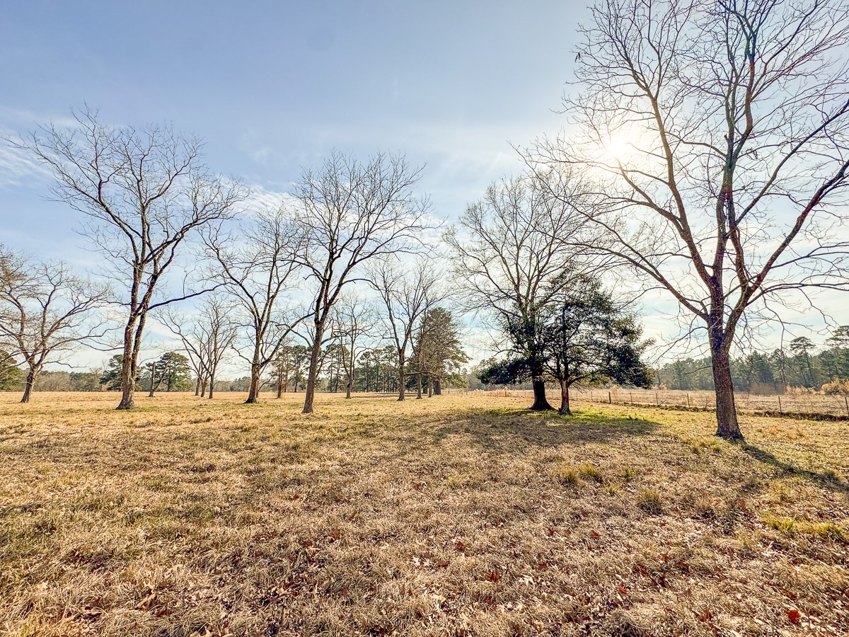 1 Fm 328 Huntington, TX 75949 - Photo 35 of 40 a view of yard with trees