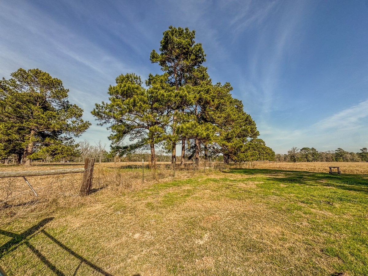 1 Fm 328 Huntington, TX 75949 - Photo 38 of 40 a view of a garden