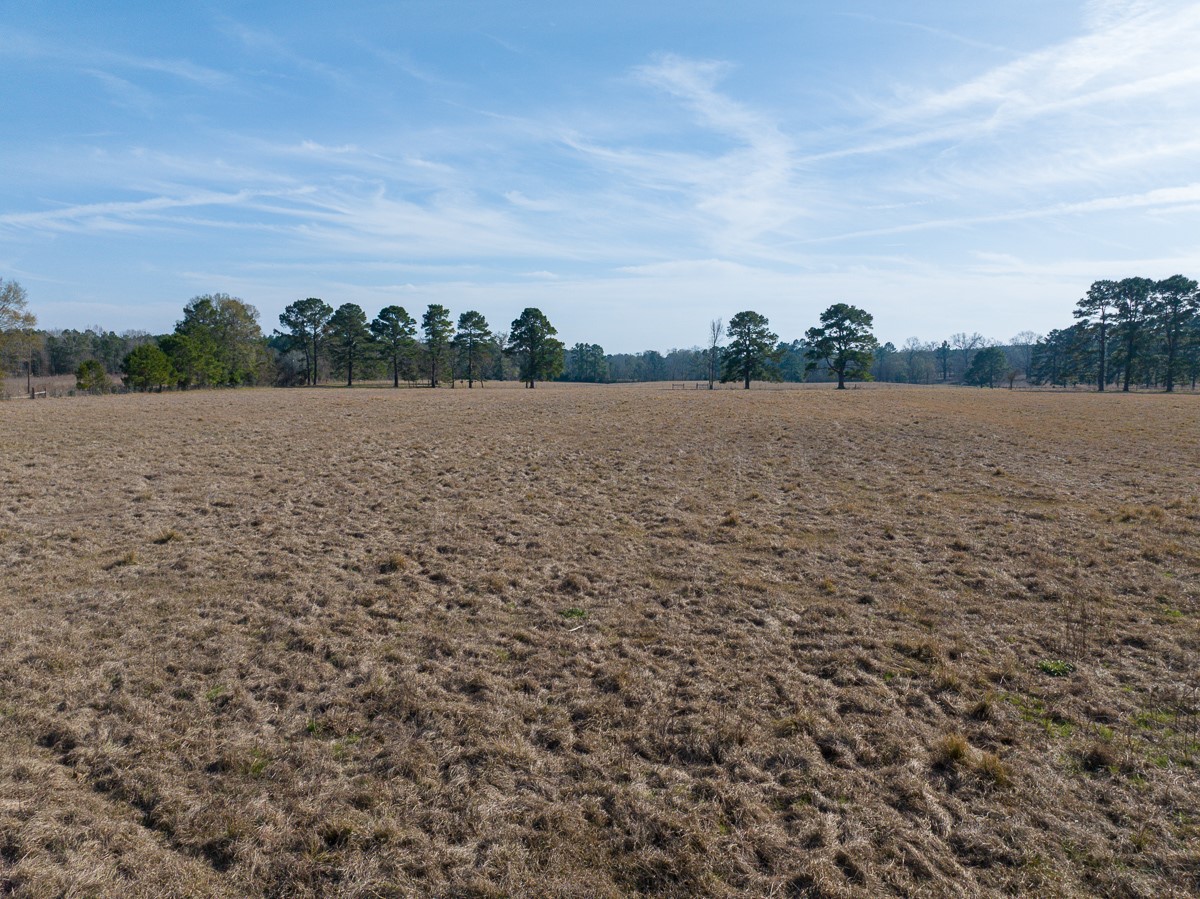 1 Fm 328 Huntington, TX 75949 - Photo 7 of 40 a view of lake