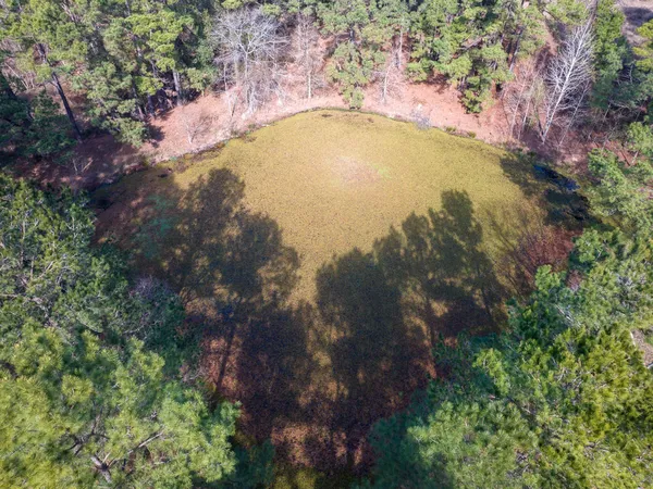 $621,600 | 1 Fm 328, Huntington, TX 75949