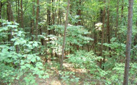 Timberline Road Murphy, NC 28906 - Photo 1 of 1 Main View