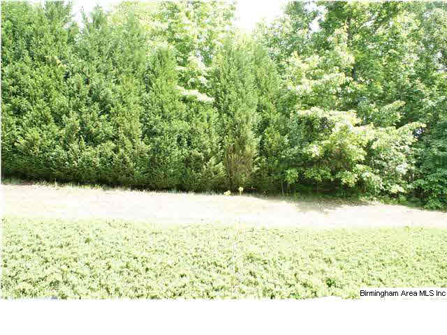 240 Quail Ridge Road Helena, AL 35080 - Photo 10 of 32