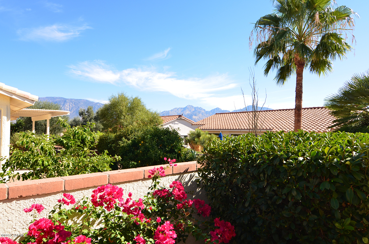 1330 East Crown Ridge Drive Tucson, AZ 85755 - Photo 16 of 22 a picture of flowers