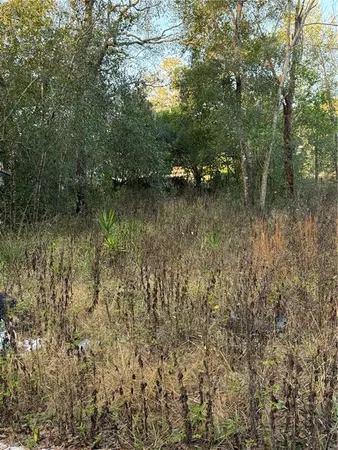 a view of lake with a green space