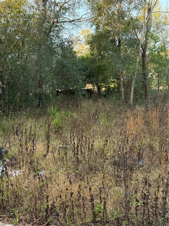 a view of lake with a green space