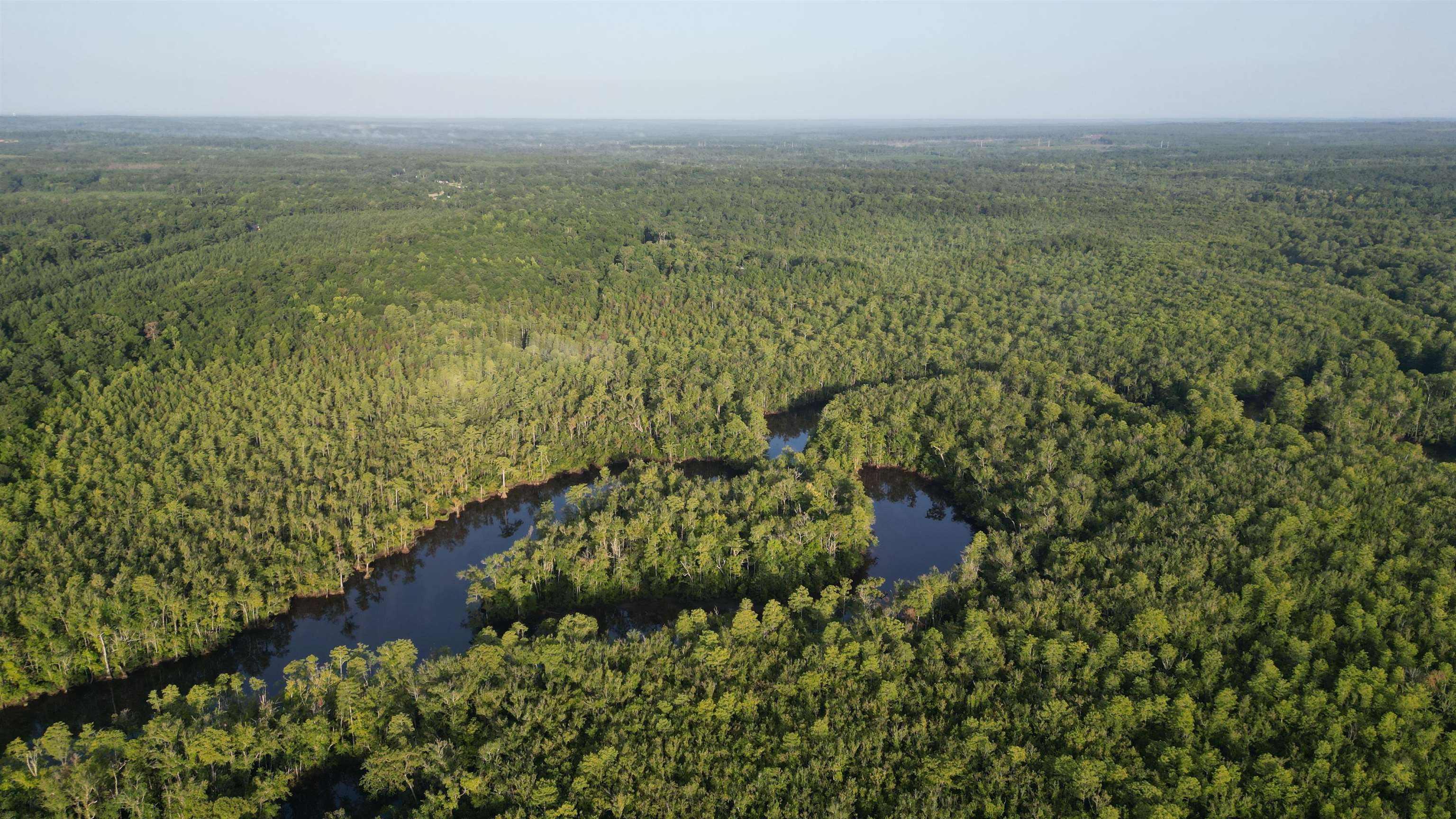 1050 Cedar Creek Landing Road Mount Vernon, AL 36560 - Photo 8 of 59 Aerial View