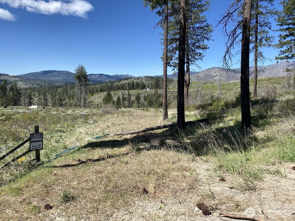 123-tbd Buzzard Lake Road Okanogan, WA 98840 - Photo 1 of 15