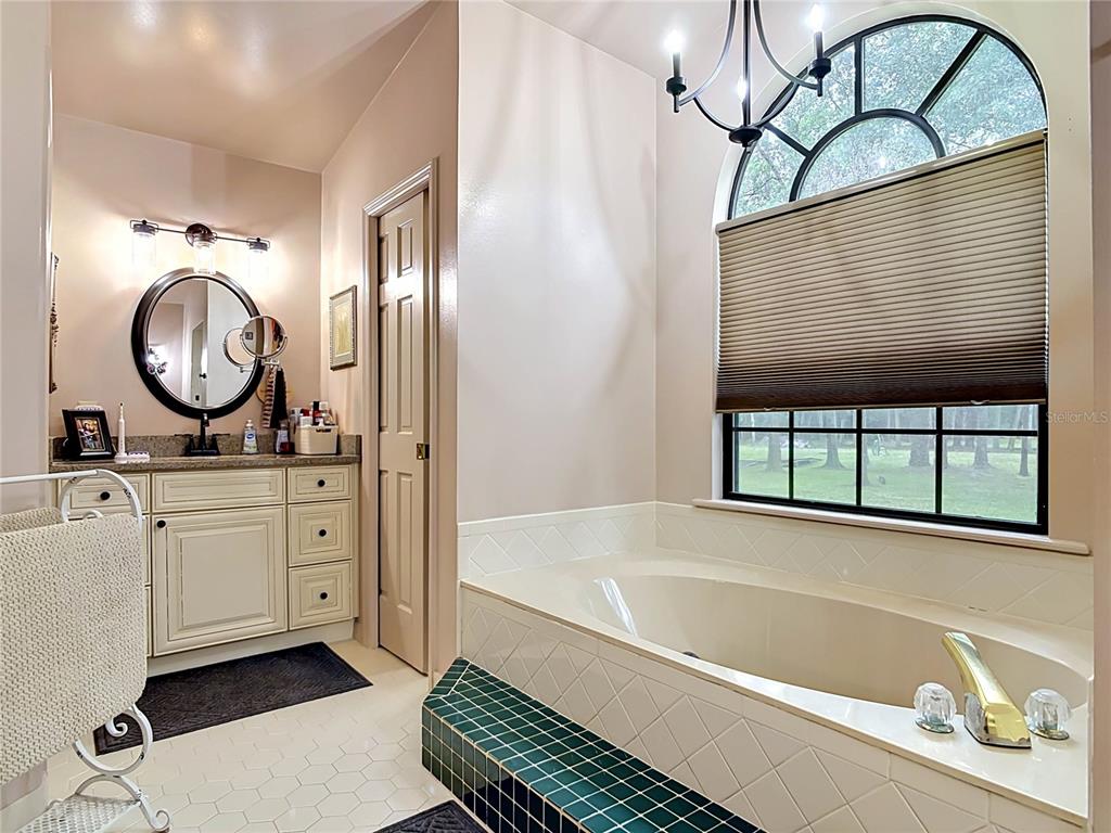 1395 Maytown Road Osteen, FL 32764 - Photo 39 of 65 a bathroom with a tub sink and mirror