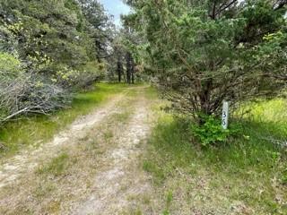 236 Chappaquiddick Road Edgartown, MA 02539 - Photo 13 of 16 a view of a lake view with a garden