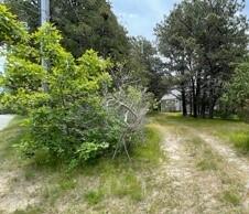 236 Chappaquiddick Road Edgartown, MA 02539 - Photo 14 of 16 a view of yard with green space