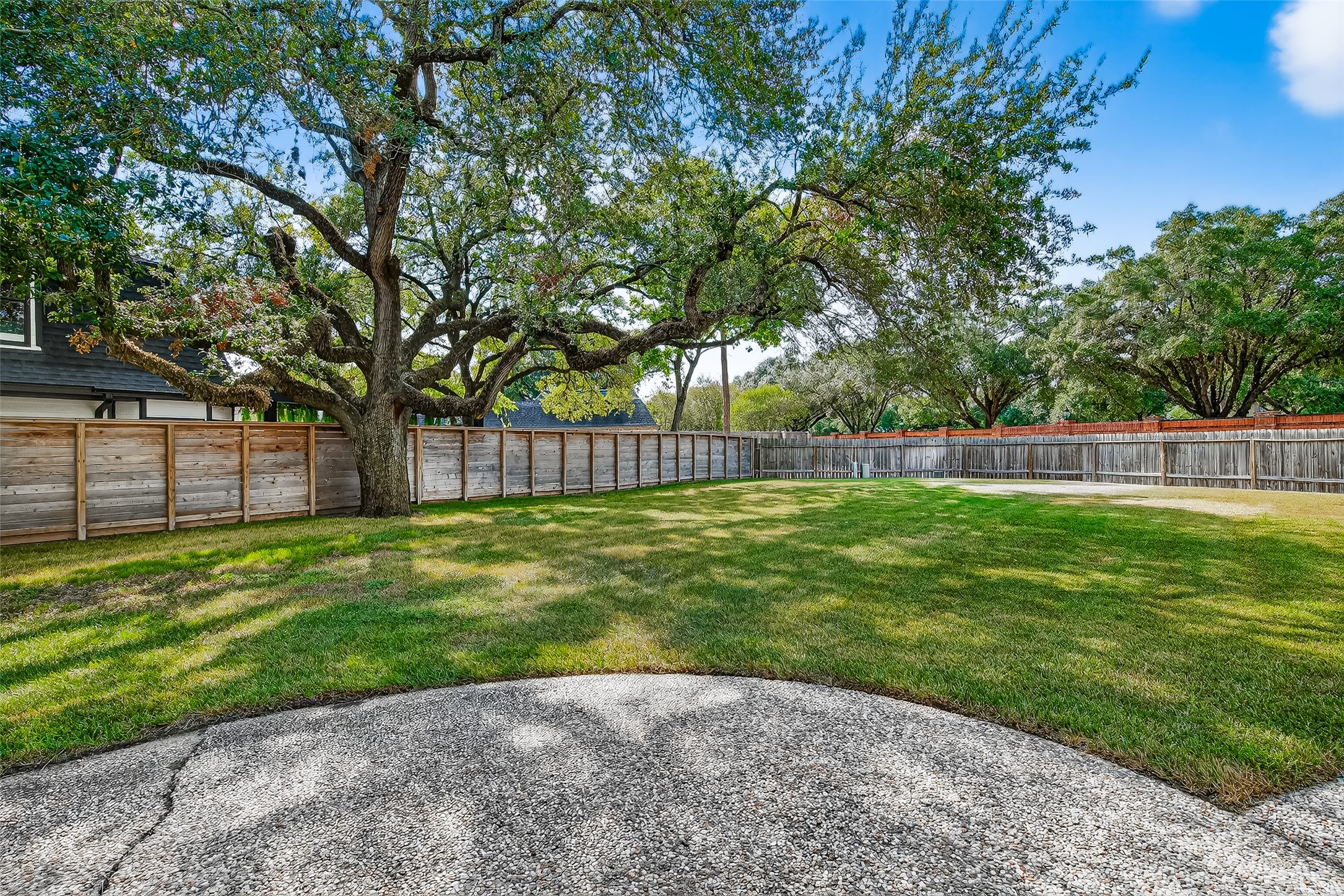 818 Silvergate Drive Houston, TX 77079 - Photo 37 of 40 a view of a yard with a large trees