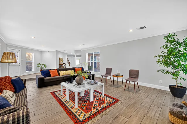 a living room with furniture a rug and a potted plant