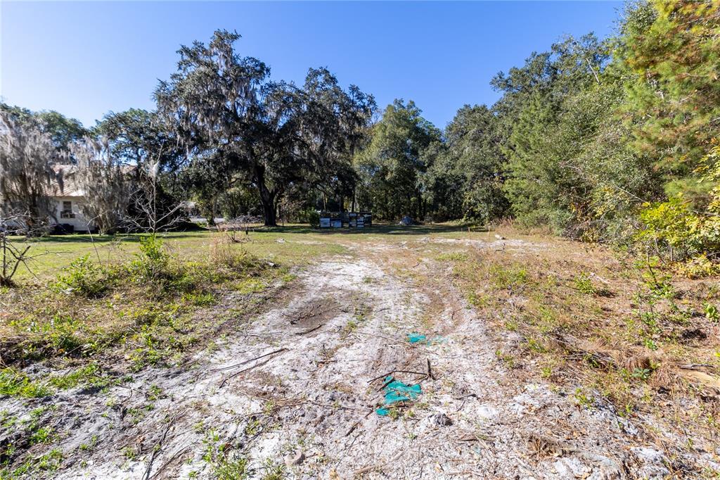 815 Northeast 145th Avenue Road Silver Springs, FL 34488 - Photo 14 of 42 a view of a field with trees in the background