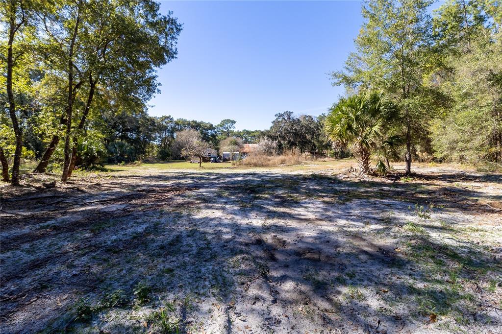 815 Northeast 145th Avenue Road Silver Springs, FL 34488 - Photo 16 of 42 a view of dirt yard with large trees