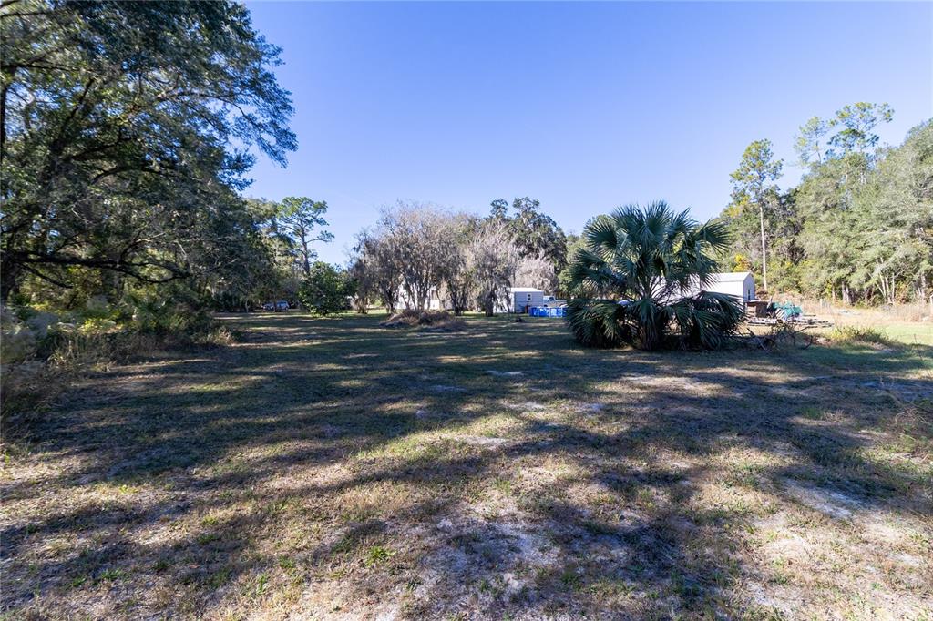 815 Northeast 145th Avenue Road Silver Springs, FL 34488 - Photo 19 of 42 a view of road with trees