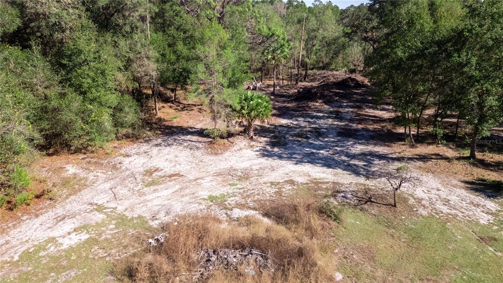 815 Northeast 145th Avenue Road Silver Springs, FL 34488 - Photo 21 of 42 a view of a yard with plants and large trees