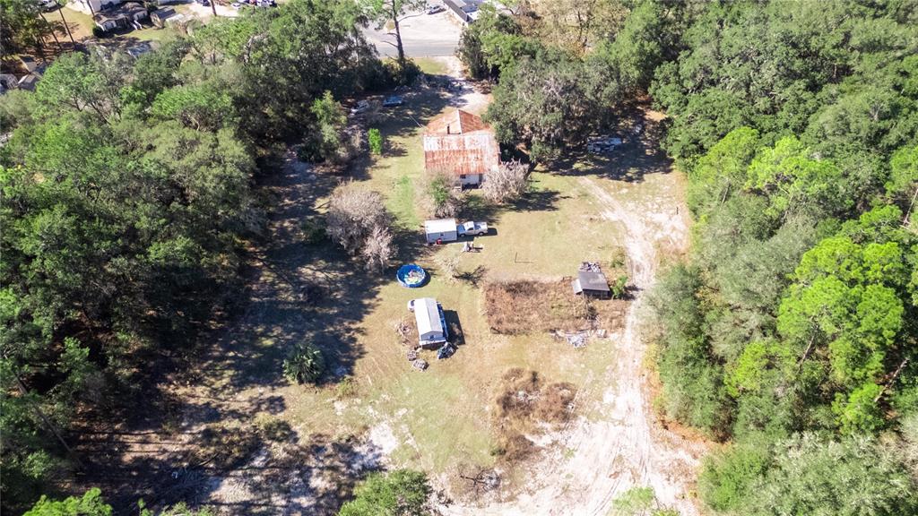 815 Northeast 145th Avenue Road Silver Springs, FL 34488 - Photo 9 of 42 a view of outdoor space and covered with trees