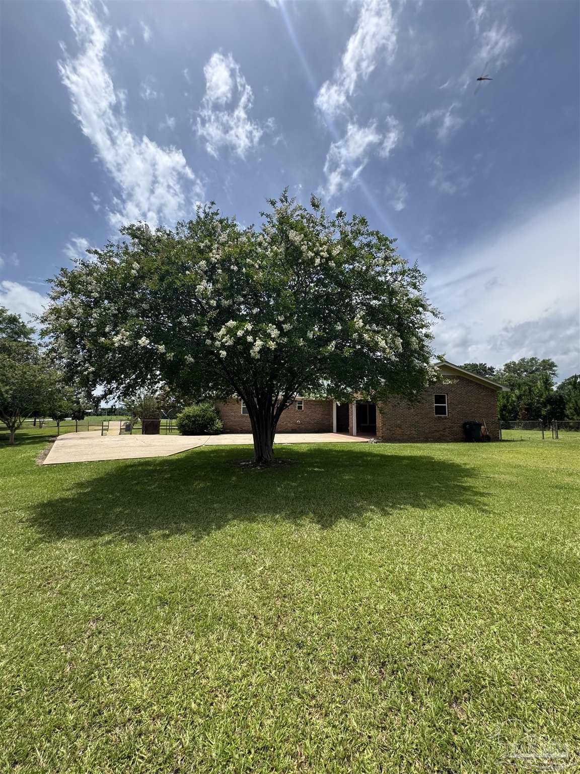 6701 Will Jones Road Jay, FL 32565 - Photo 23 of 27