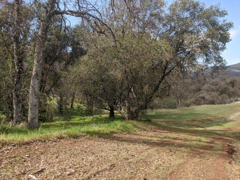 28181 Watts Valley Road Sanger, CA 93657 - Photo 11 of 21 Gallery Image 11