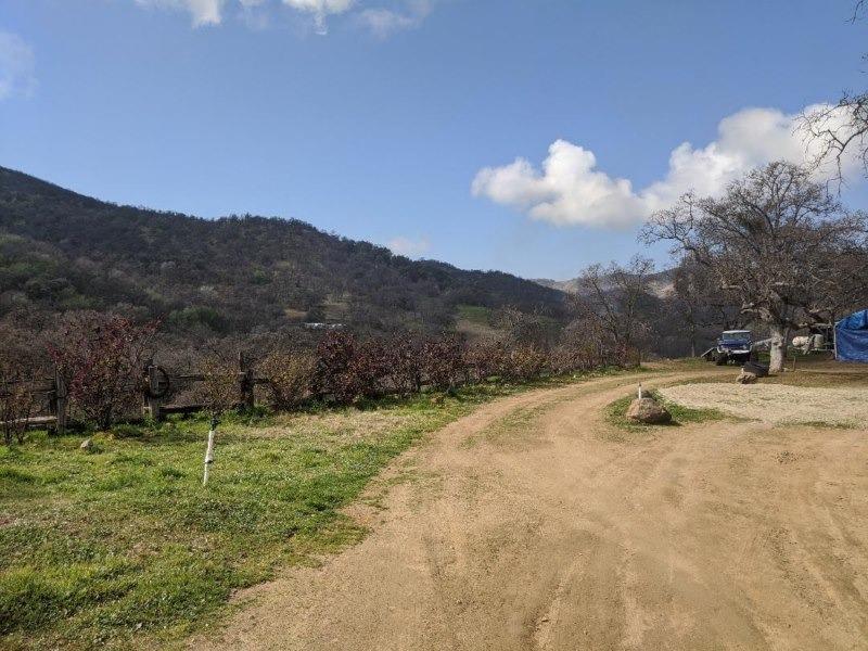 28181 Watts Valley Road Sanger, CA 93657 - Photo 13 of 21 Gallery Image 13
