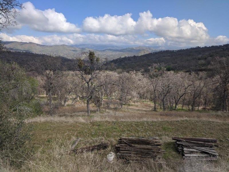 28181 Watts Valley Road Sanger, CA 93657 - Photo 14 of 21 Gallery Image 14