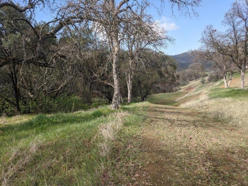 28181 Watts Valley Road Sanger, CA 93657 - Photo 9 of 21 Gallery Image 9