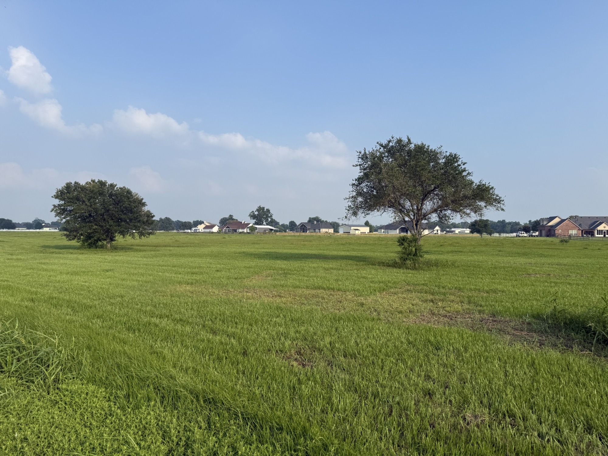 3211 Pearce Drive Rosharon, TX 77583 - Photo 4 of 7