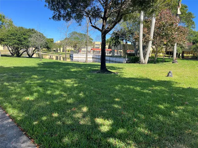 a view of a park with large trees