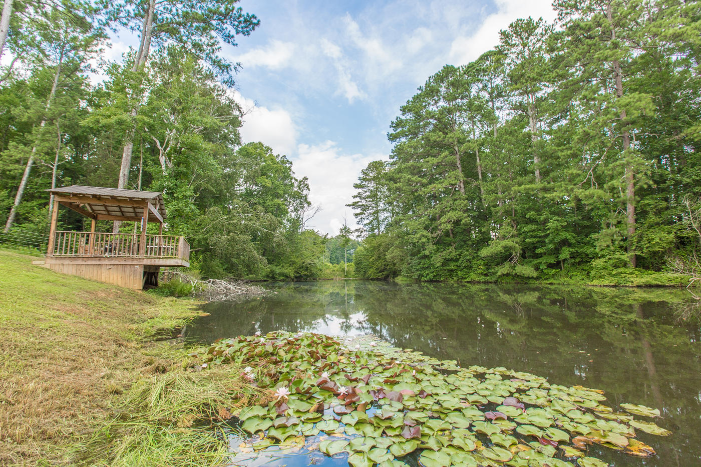 187 Earl Garner Road Ringgold, GA 30736 - Photo 41 of 47 Earl Garner (39 of 64)