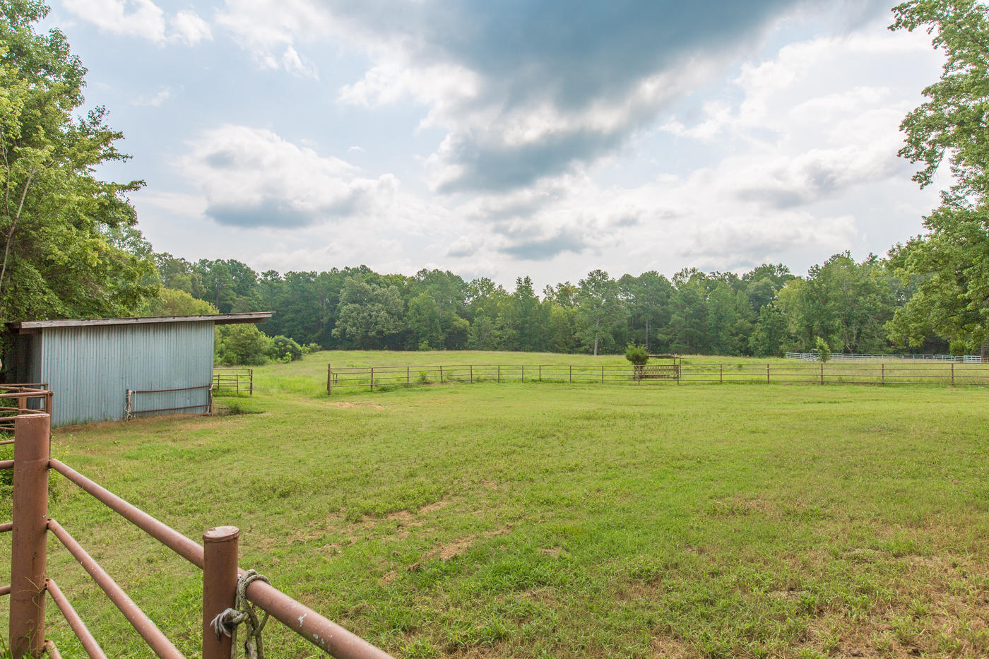 187 Earl Garner Road Ringgold, GA 30736 - Photo 45 of 47 Earl Garner (36 of 64)
