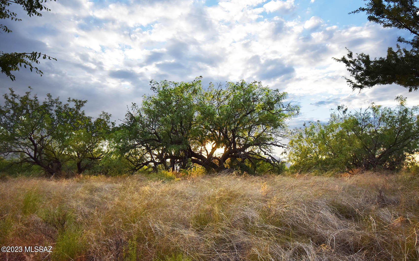 40-ac West Redhead Road Cochise, AZ 85606 - Photo 29 of 38 Gallery Image 29