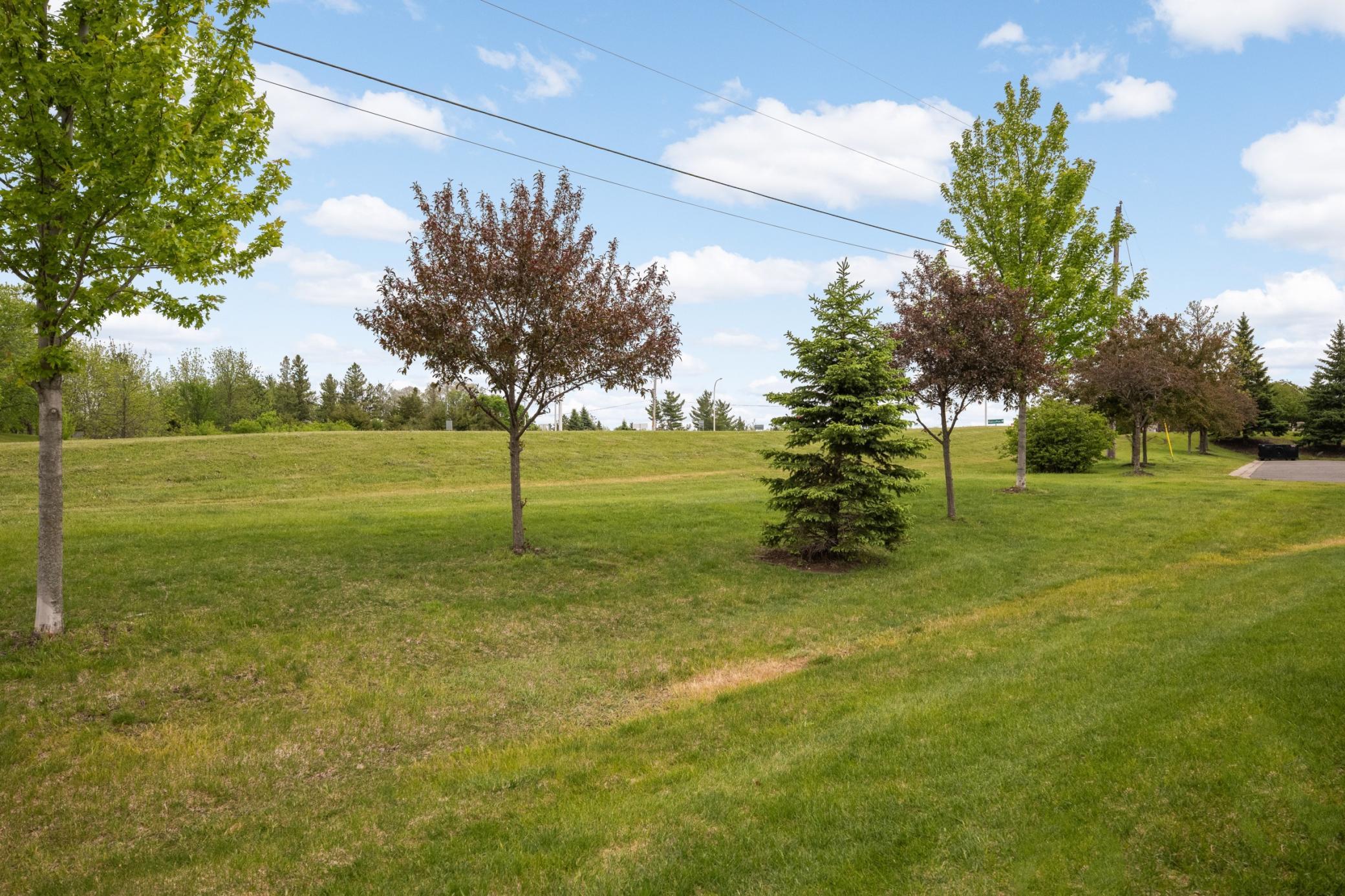 554 Cannon Way Dundas, MN 55019 - Photo 29 of 29